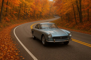 Fall Drives and Fresh Air: The Joy of the Long Way Home