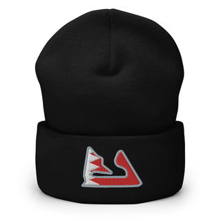 Bahrain Circuit with Flag F1 Embroidered Cuffed Beanie