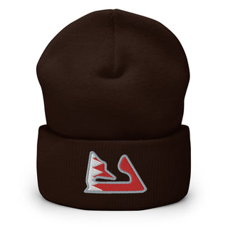 Bahrain Circuit with Flag F1 Embroidered Cuffed Beanie