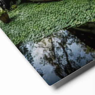 Forgotten Steel – Swamp Roadster: Abandoned Classic in Louisiana Bayou Metal Print